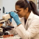 Biology HL vs SL: Deciding Under the New Spec