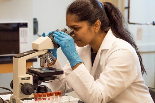 Biology HL vs SL: Deciding Under the New Spec